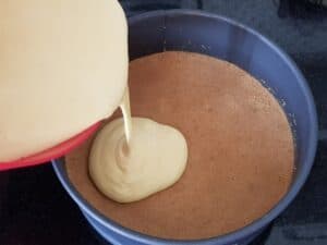 fill the mango cheesecake mixture to the chilled base and refrigerate for