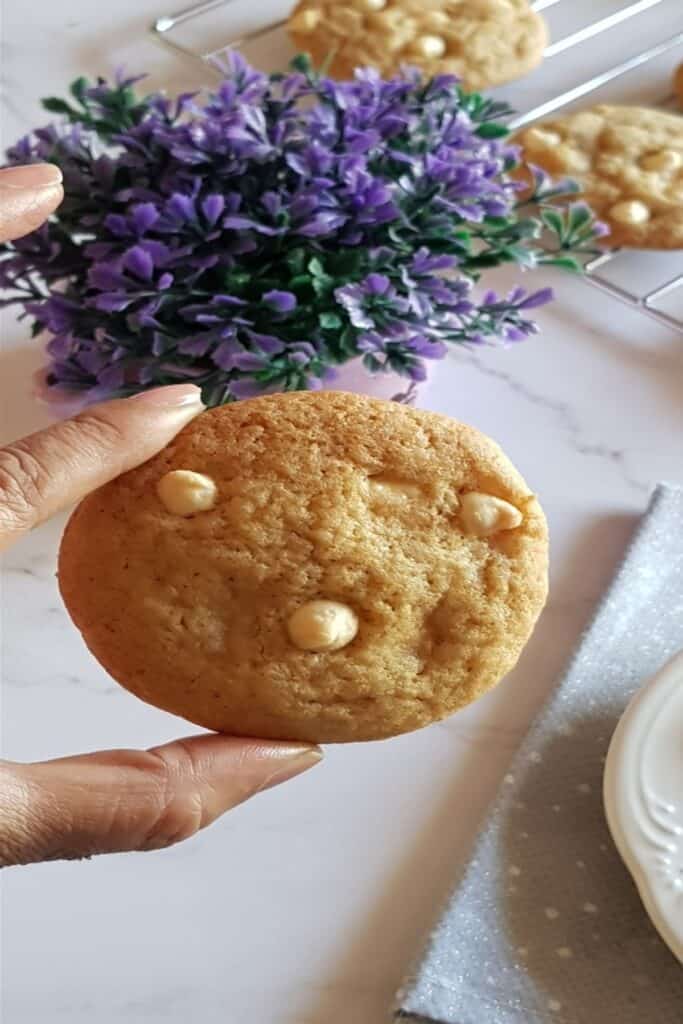 single soft chewy white chocolate cookie